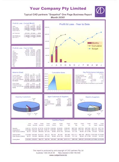 Snapshot Report Snapshot Report